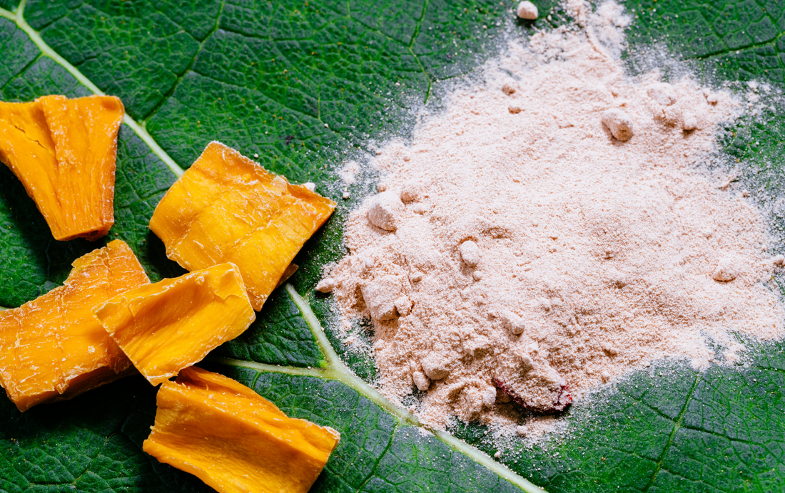 Exploring the Healthy Benefits of Lucuma Powder