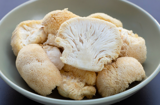 Understanding the Health Benefits of Nootropic Mushrooms