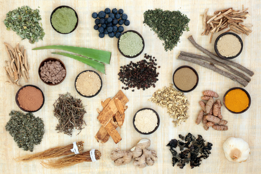 Introduction to Adaptogens